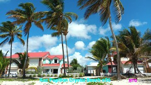 A beachfront property with multiple buildings, palm trees, and a clear blue sky.