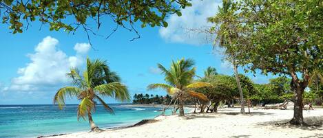 كراسي للتشمس، مناشف للشاطئ