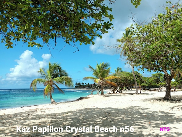 Sun-loungers, beach towels