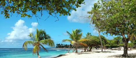 Een strand met helder turquoise water, palmbomen en een zandstrand.