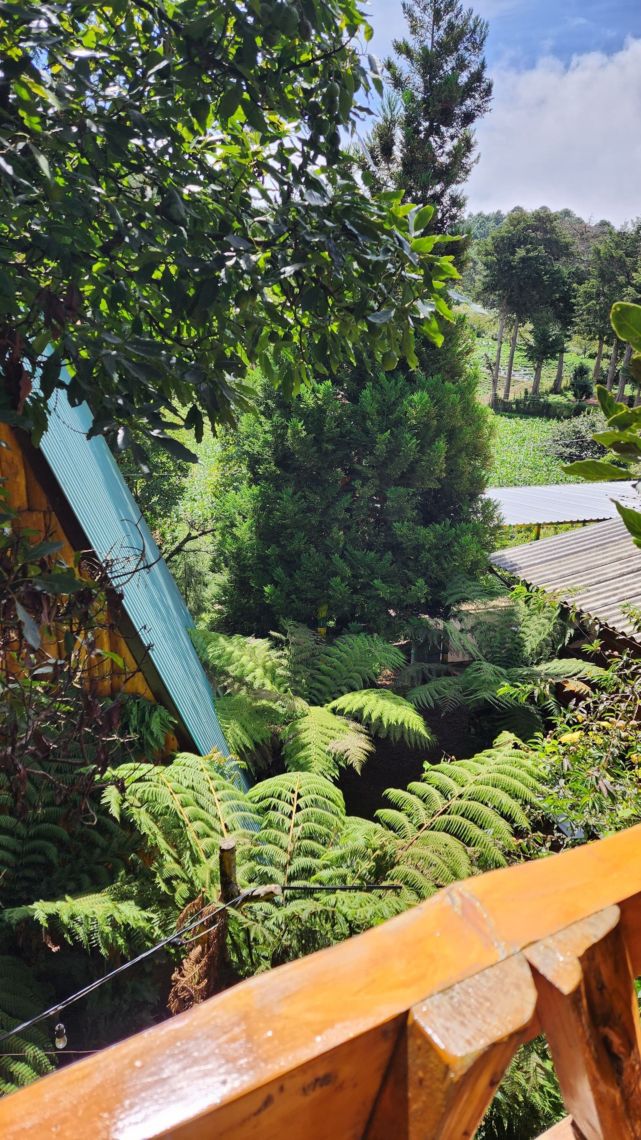 ลานระเบียง/นอกชาน