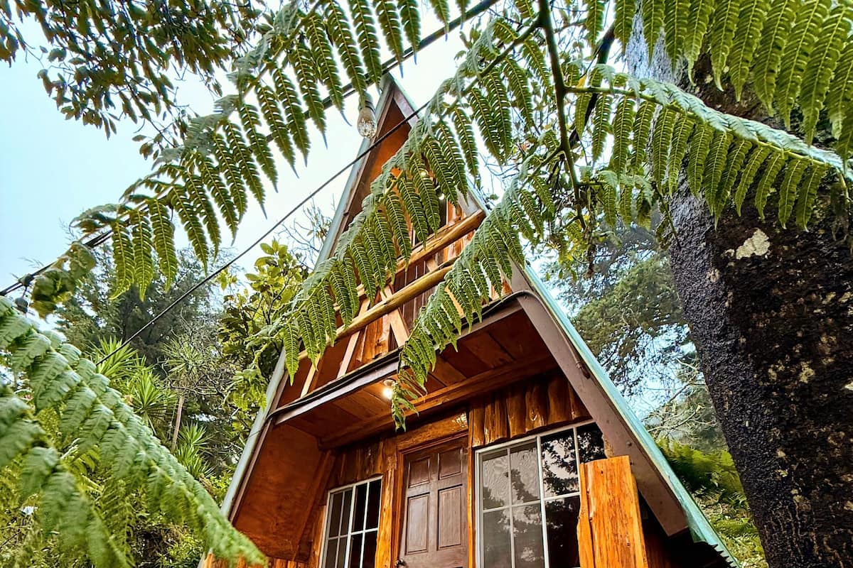 Cabana família, sacada, vista para a montanha | 1 quarto, Wi-Fi de cortesia