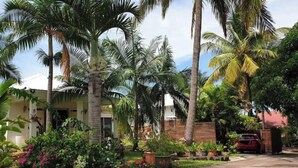 A residential area with palm trees, a red car, and a house with a visible door and windows. - Cosy studio in large garden with trees, terrace with jacuzzi (Saint-Louis)