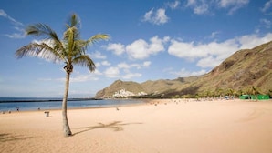 A beach with a single palm tree, clear skies, and distant mountains.