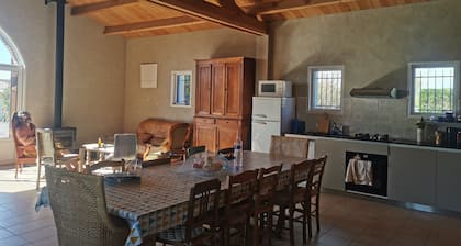 Friendly, sunny, and quiet house with a large wooded garden!