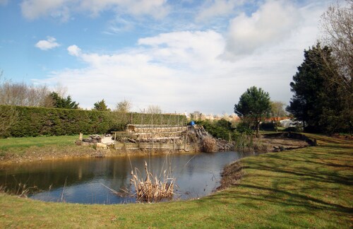 Maison conviviale, ensoleillée et calme avec un grand jardin arboré!