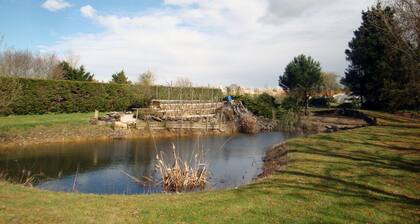Maison conviviale, ensoleillée et calme avec un grand jardin arboré!