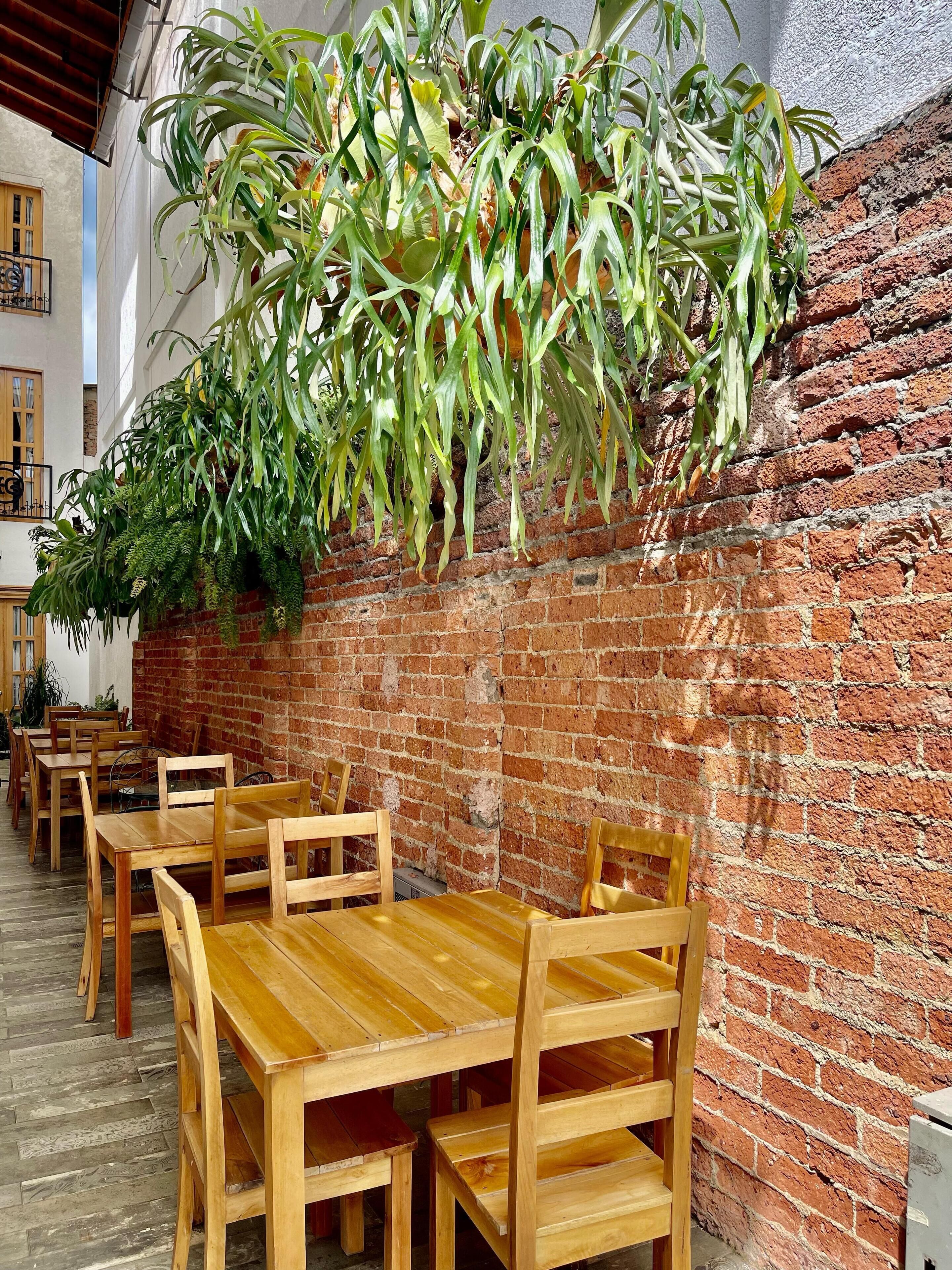 Foto - Hotel Cattaleya