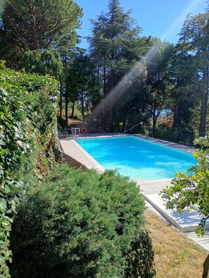 Une piscine rectangulaire entourée d’une végétation luxuriante, sous un ciel bleu azur.