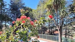 A park with a stone pathway, green grass, and various trees including a palm tree. - New two-room apartment with residential pool, large terrace and exclusive parking space (Bordighera)
