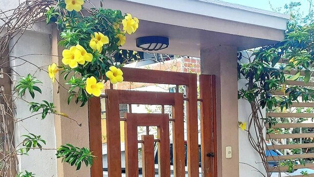 Una entrada protegida con un portón de madera, plantas en macetas y un patio con baldosas.