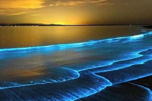 Beach - GreenTree Inn (Pingtan Longfeng Bathing Beach Xihang Road) (Pingtan)