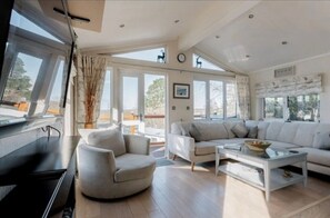 TV, fireplace - Fuchsia Lodge, dogs stay free, luxurious lodge on Rockley Park, Poole Harbour (Hamworthy)