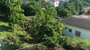 A view of a fenced area with a tree and a building in the background. - Fruitful paradise 
Charming house with WiFi 
welcoming you to enjoy and relax (Church Corner)