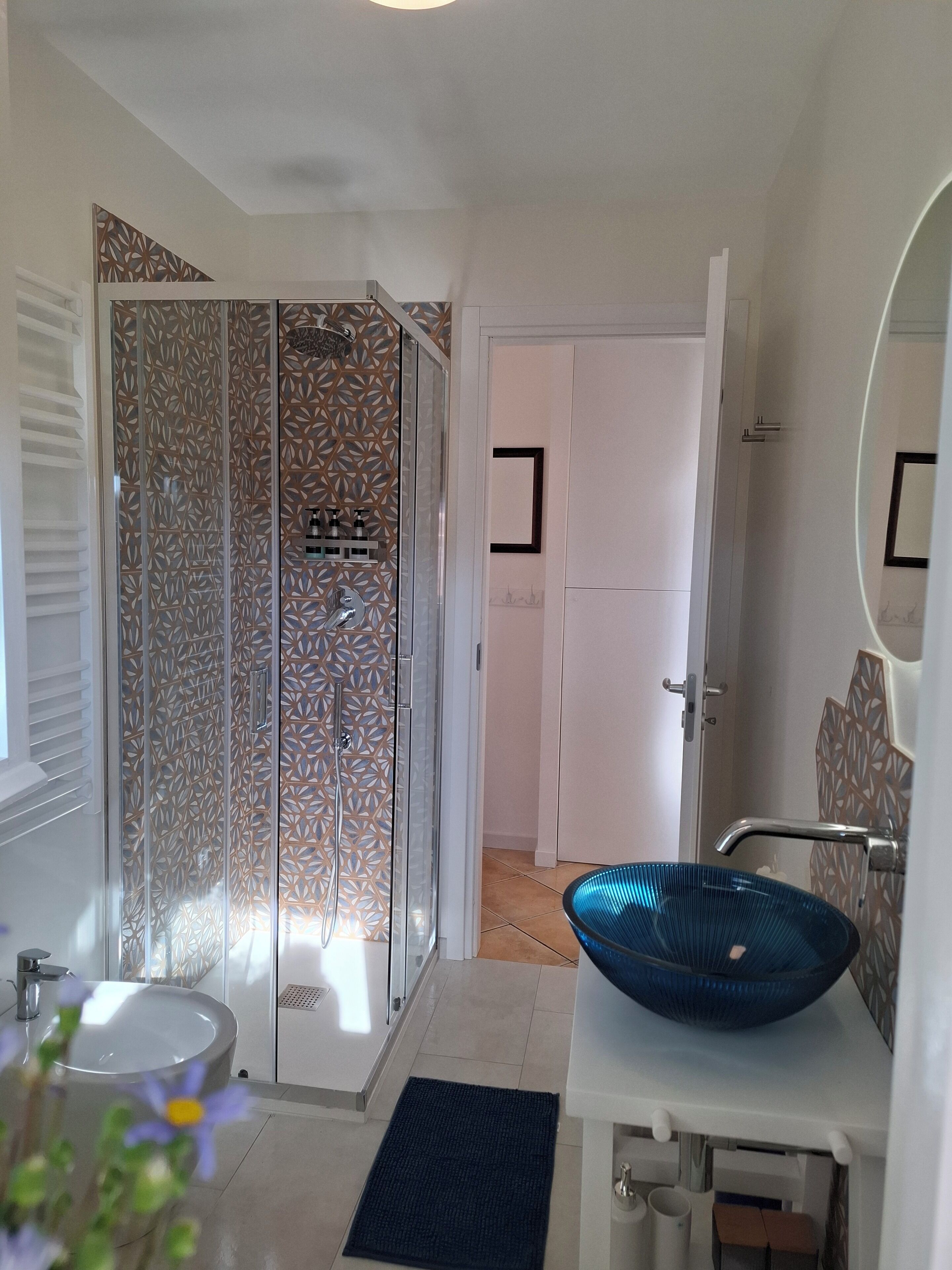 Shower, hair dryer, bidet, towels