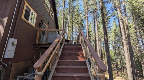 Cozy Blue Jay Nest Retreat