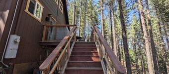 Cozy Blue Jay Nest Retreat