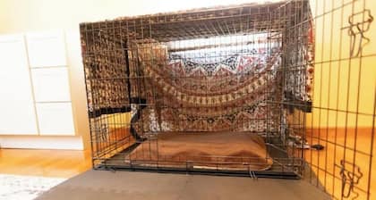 Paws & Play - Spacious Fenced Yard. Pet Friendly property in Berea, Kentucky