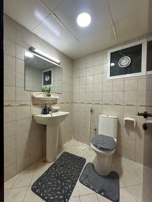 Hair dryer, towels, soap, toilet paper