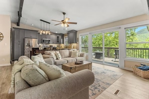 Smart TV, fireplace, video games, books