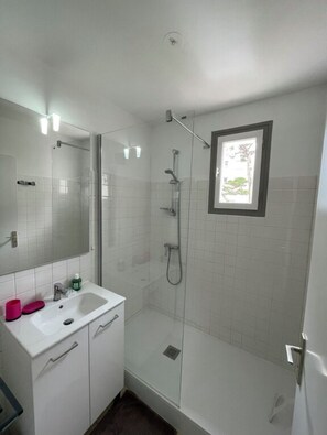 Shower, hair dryer