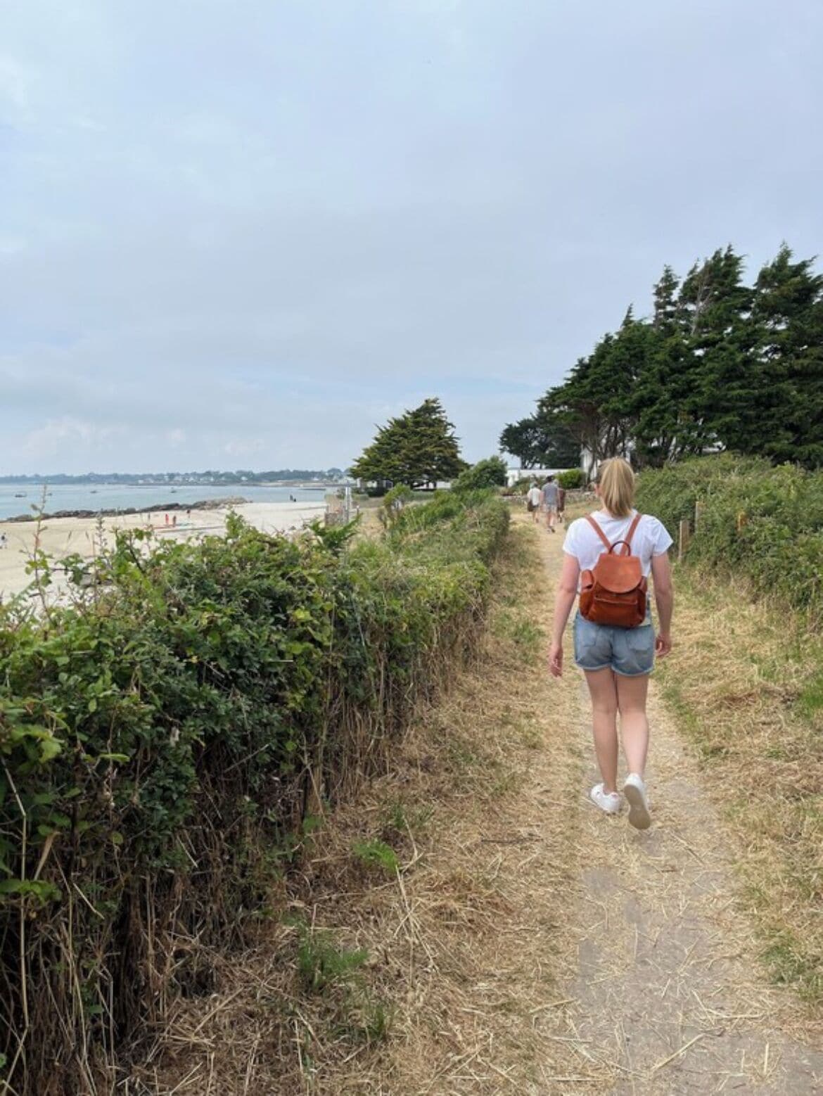 A person walking on a dirt path beside a beach.