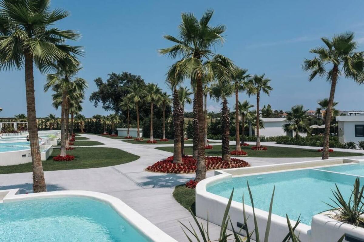 Zona de piscina con palmeras y macizos de flores rojas, rodeada por un edificio blanco.