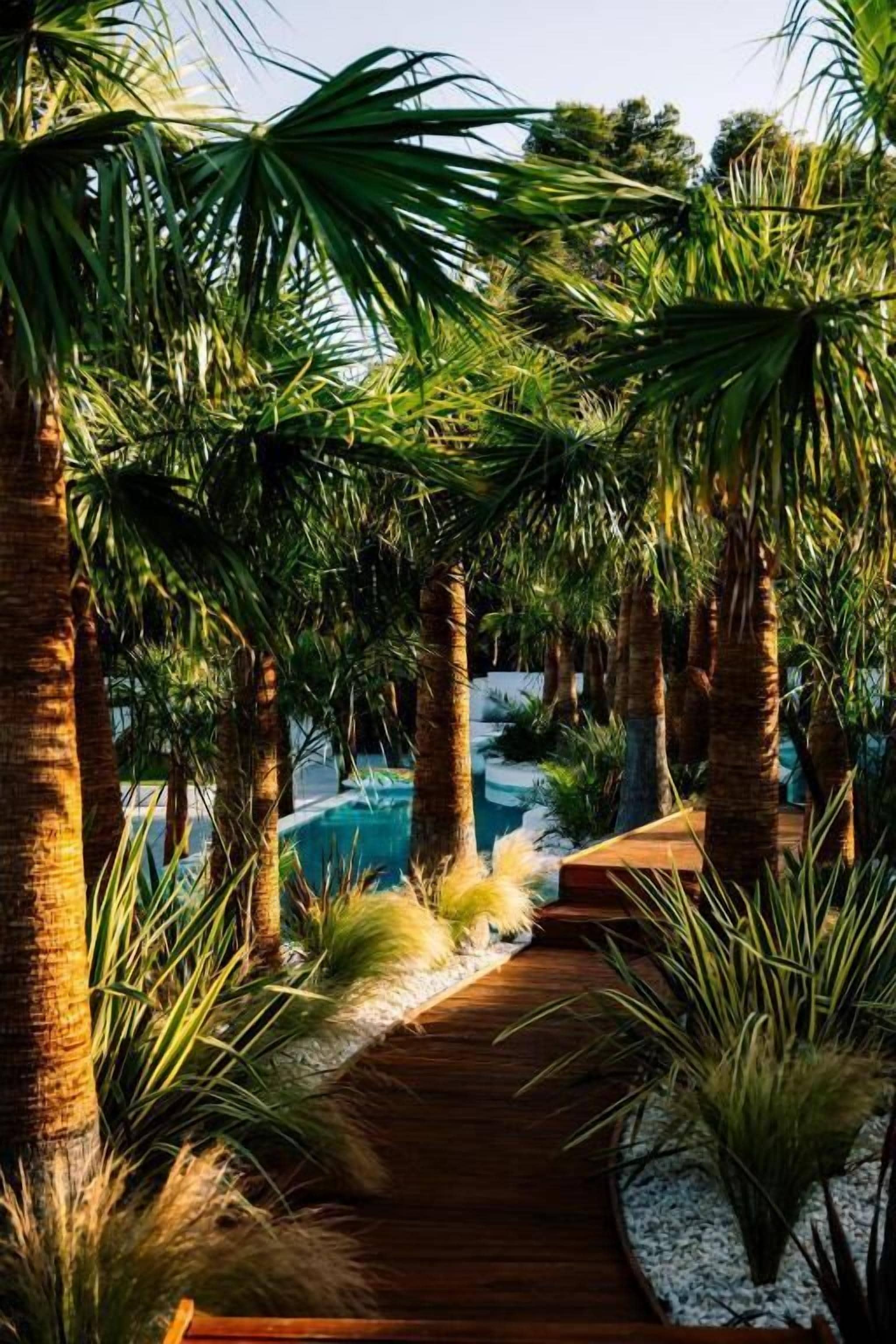 A pathway leading to a pool surrounded by palm trees and tropical plants.