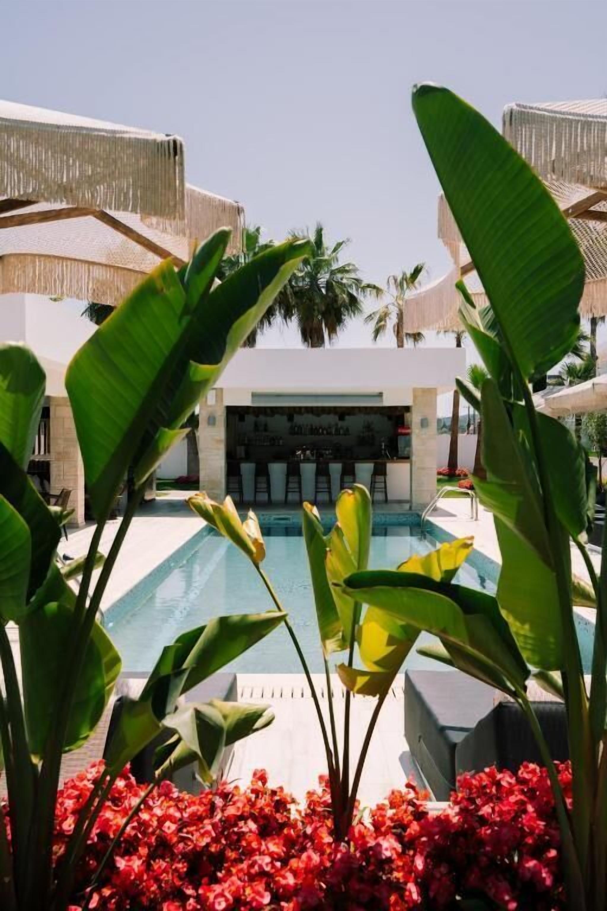 Un área de piscina con sillones de descanso y un bar, rodeada de plantas tropicales y palmeras.