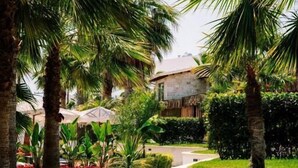 A pathway flanked by palm trees and lush greenery, leading to a building with a stone facade. - Kallithea Village (Kassandra)