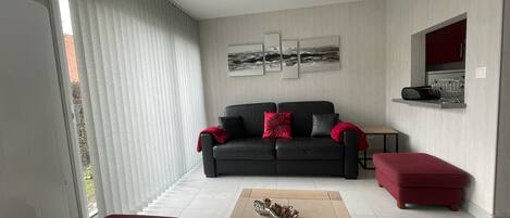 تلفزيون، كُتُب