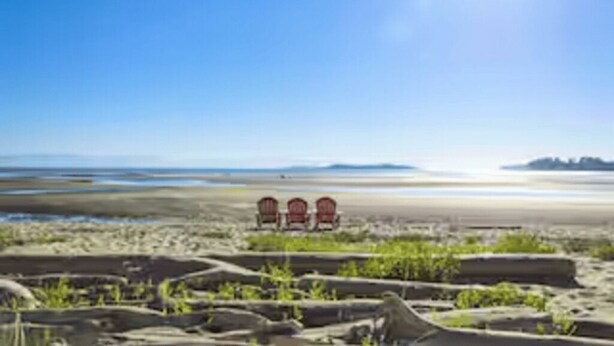 A beach with three red chairs facing the ocean, surrounded by sand and sparse vegetation.