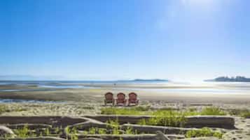Chaises longues, serviettes de plage