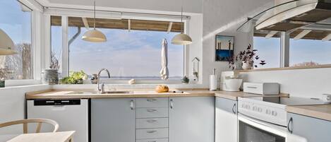 Fridge, stovetop, dishwasher, coffee/tea maker
