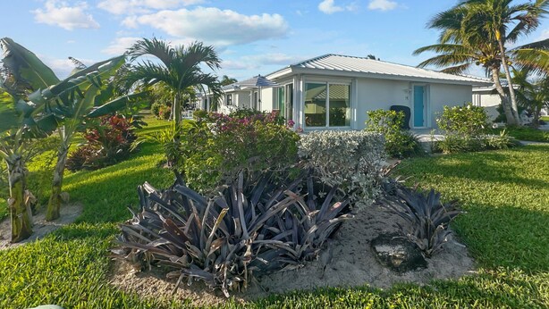 Una casa moderna con un porche cubierto, rodeada de plantas tropicales y palmeras.
