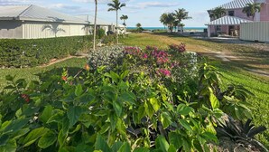 Una zona residencial con casas, un jardín con diversas plantas y vista al océano.