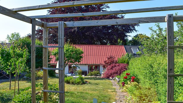 Eine Hollaube im Garten, im Hintergrund ein Gebäude mit rotem Dach.