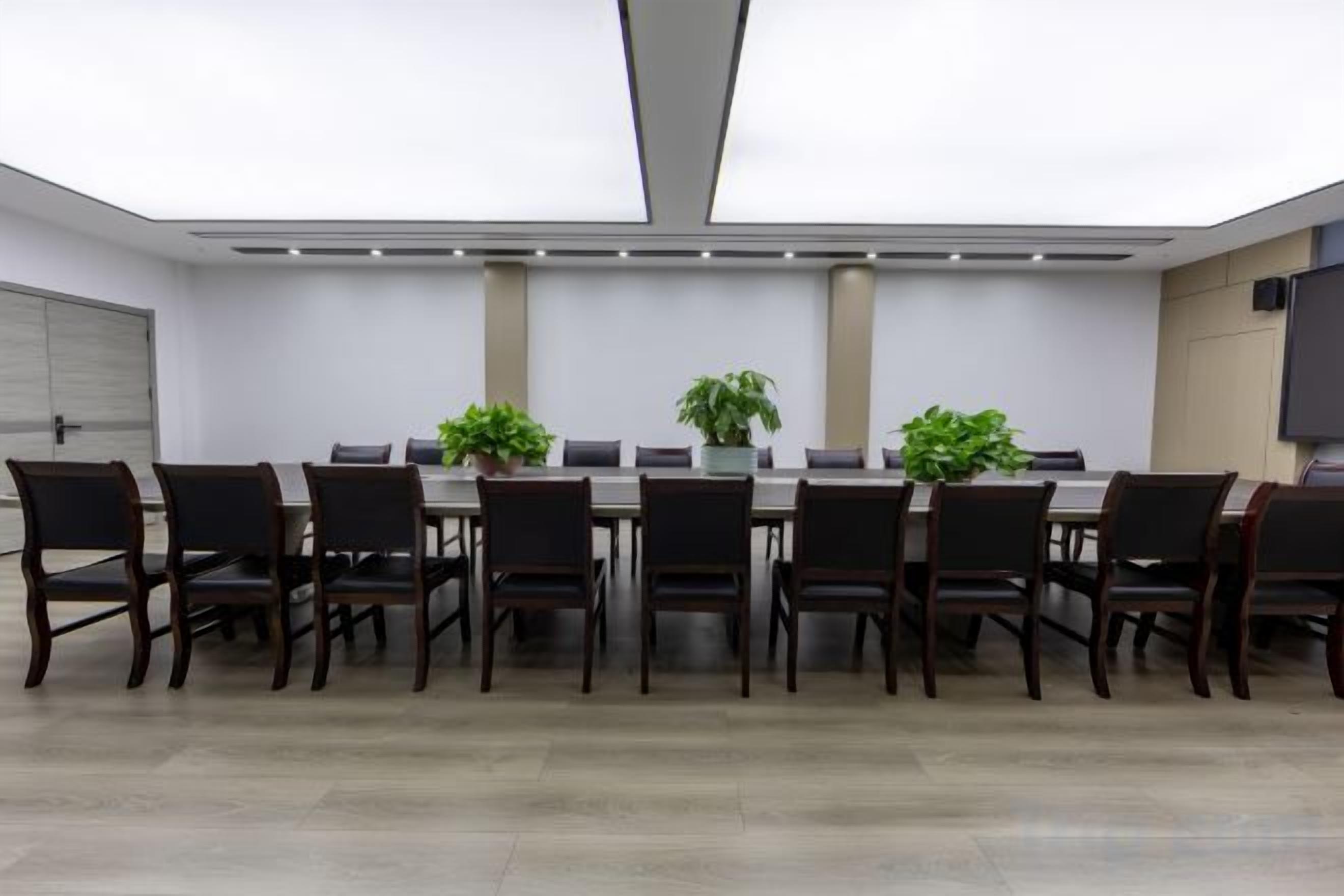 Un salón de conferencias con una larga mesa, sillas, plantas en macetas y un televisor de pantalla plana.