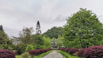 A paved pathway flanked by neatly trimmed hedges and trees, leading to a building in the distance.