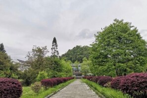 Vista desde la propiedad