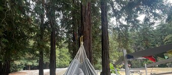 Glamping Tipi in the Redwood Grove