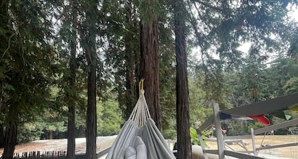 Glamping Tipi in the Redwood Grove