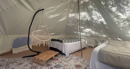 Glamping Tipi in the Redwood Grove
