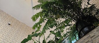 Ibi Ilé Country house 10 minutes from the sea!