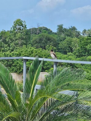 Property grounds - Ibi Ilé Country house 10 minutes from the sea! (Ouidah)
