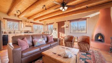 Smart TV, fireplace, books