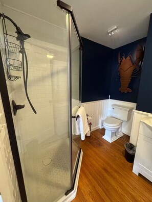 Shower, hair dryer, towels, soap - Charming Studio Apartment in Beautiful Kingston with WiFi, Heat AC (Kingston)
