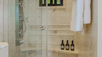 A bathroom with a glass-enclosed shower, a toilet, and a shelf with bottles.