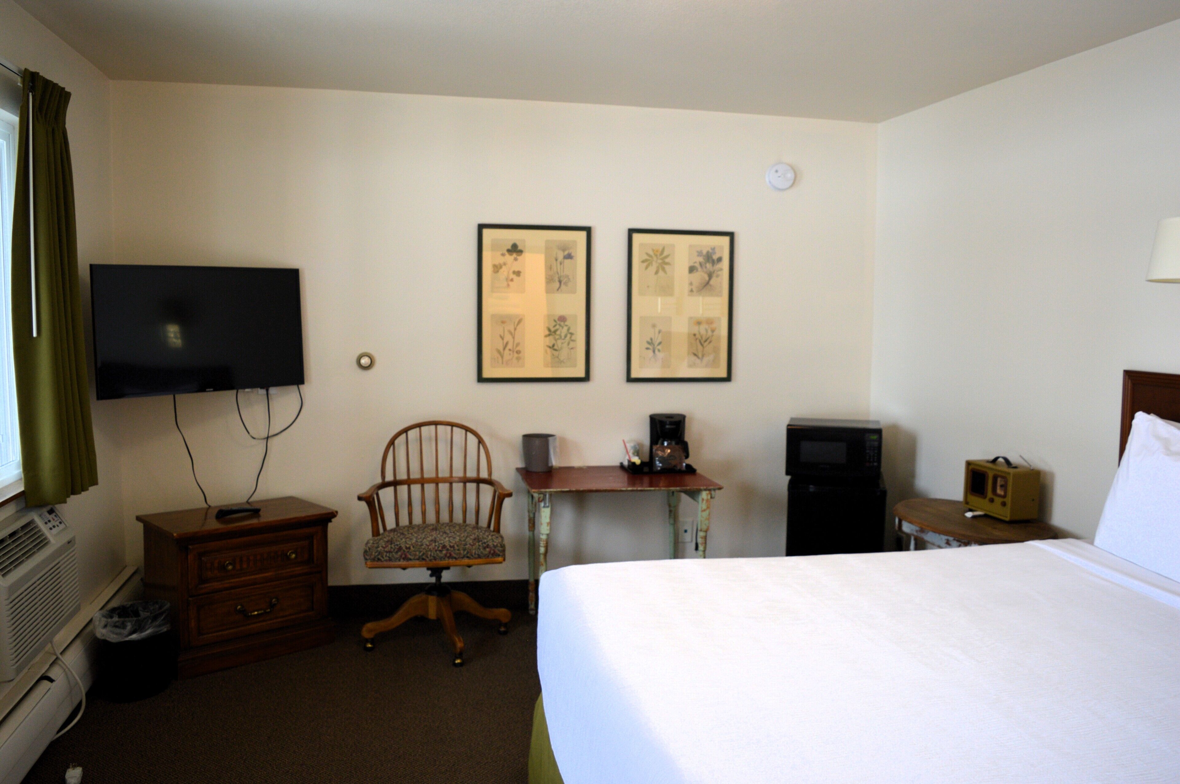 Habitación de hotel con cama, escritorio con silla, televisor, cafetera e impresiones botánicas enmarcadas en la pared.