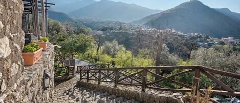 المنطقة المحيطة بالمنشأة